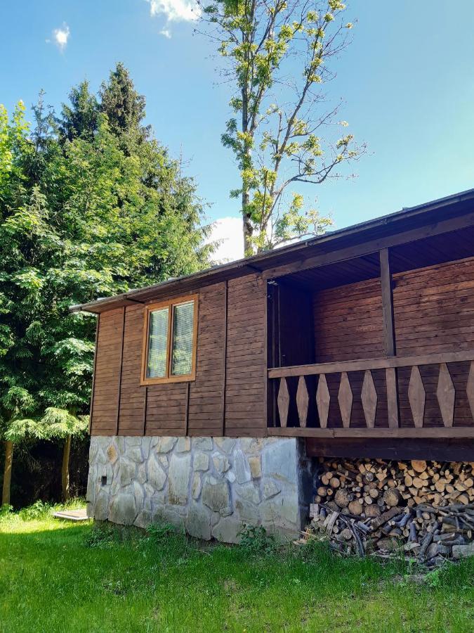 Ferienwohnung Vagon Lesna Jiřetín pod Jedlovou Exterior foto